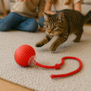Incrível Bola Interativa