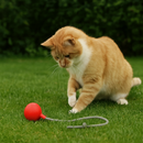 Incrível Bola Interativa